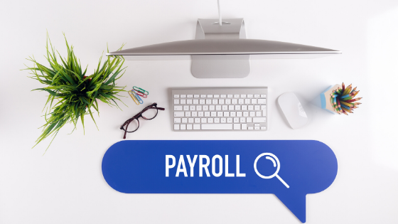 Payroll Questions - Small Entrepreneurs