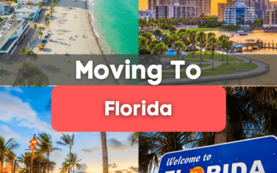 5 Key Things to Know About Before Moving Your Business to South Florida